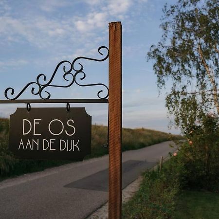 De Os Aan De Dijk Villa Grafhorst Eksteriør bilde